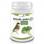 Brocoli - Rico en proteínas y minerales para aves