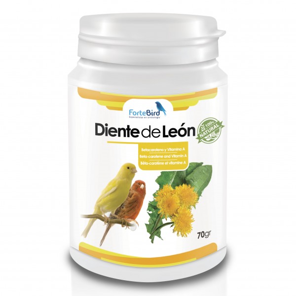 Diente de León | Betacaroteno y Vitamina A