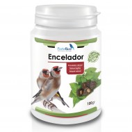 Encelador ForteBird (Ortiga + Vit E + Maca negra)