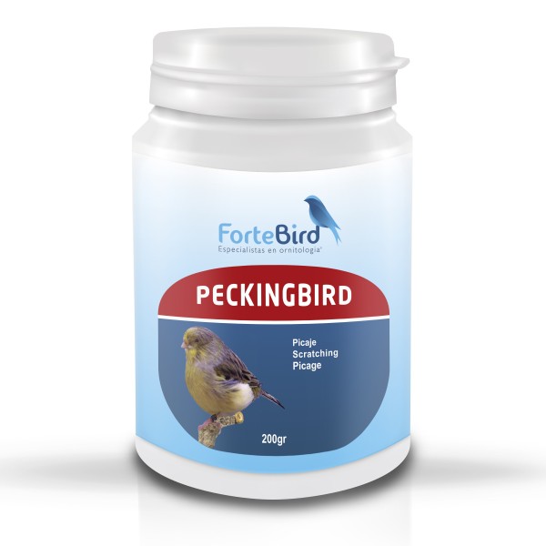 PeckingBird | Picaje